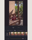 Boho Vibe - Video & foto presets